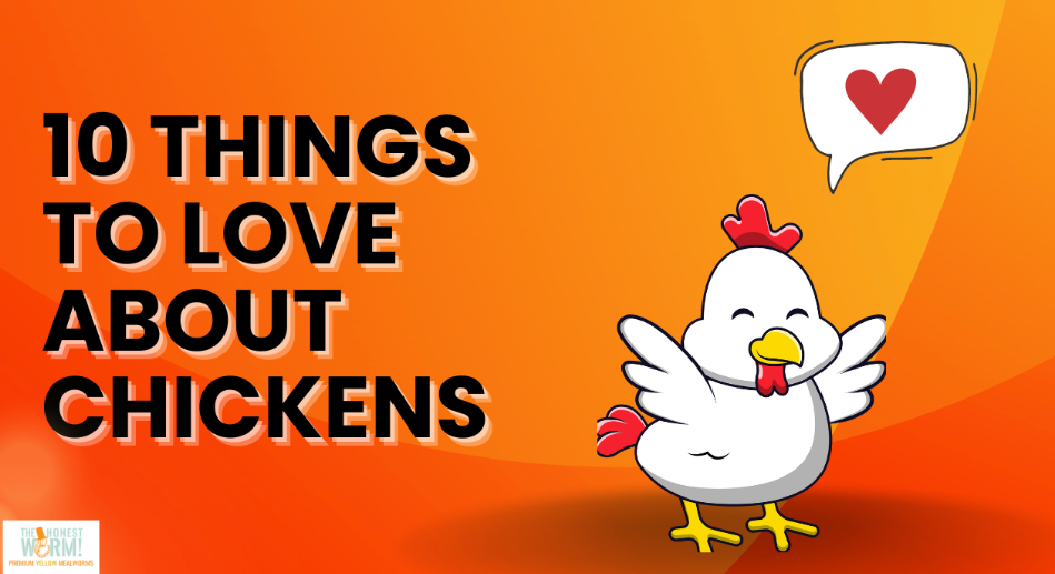 10 Reasons Why Chickens Make the Best Pets The Honest Worm!