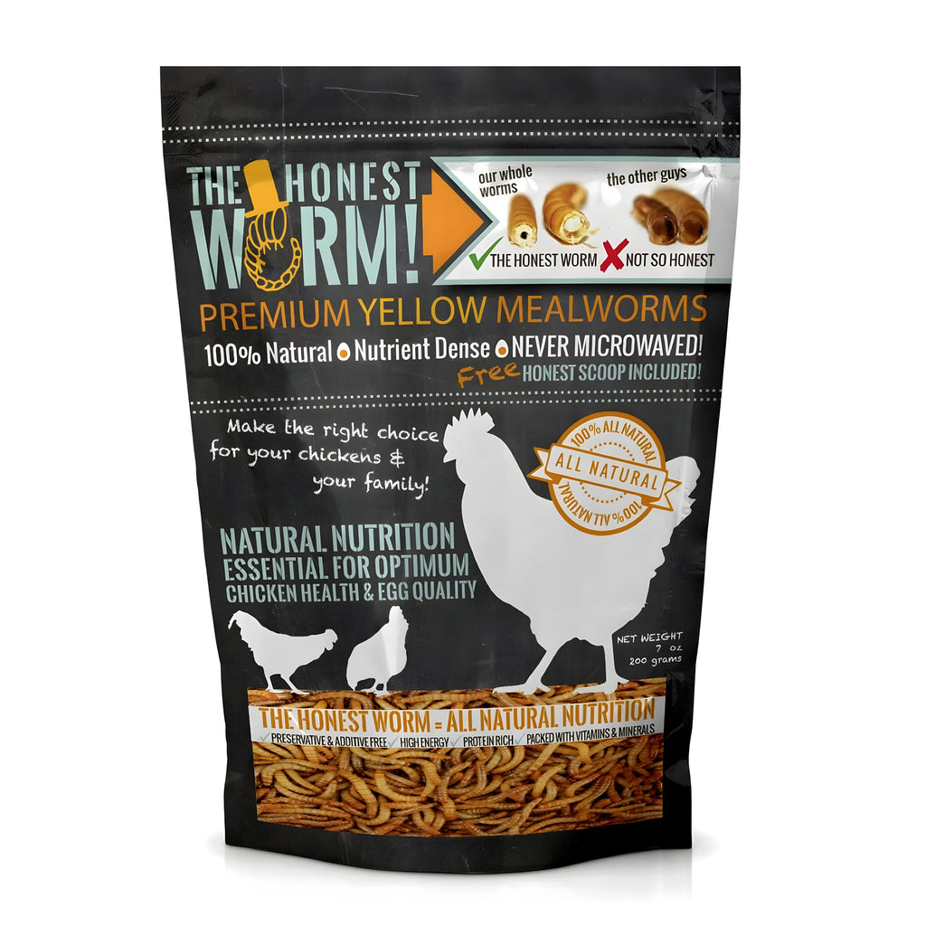 Home page – The Honest Worm!