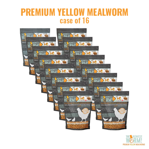 Premium Yellow Mealworms - 16oz Case (16)